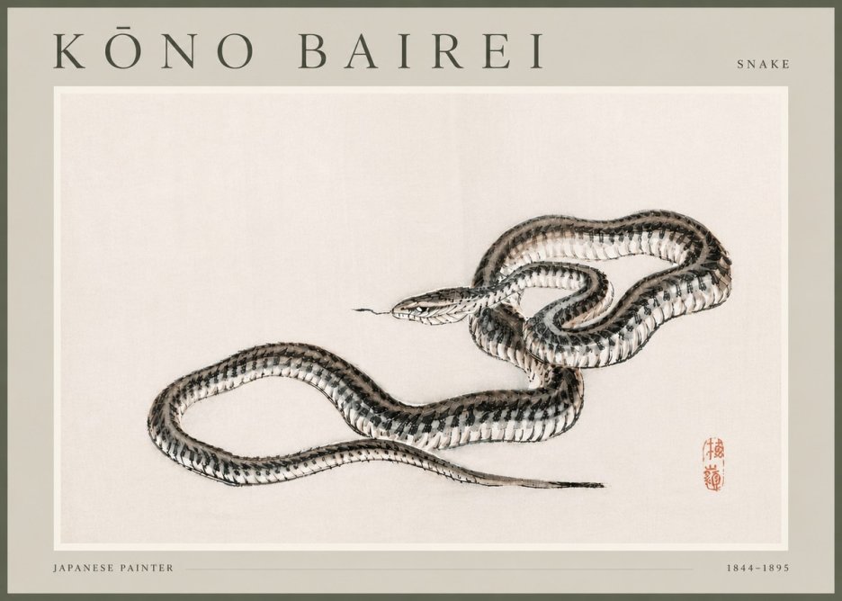 Kōno Bairei Snake No4 - Plakát