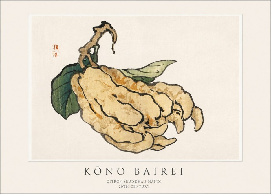 Kōno Bairei Citron (Buddha's Hand) No1 - Plakát
