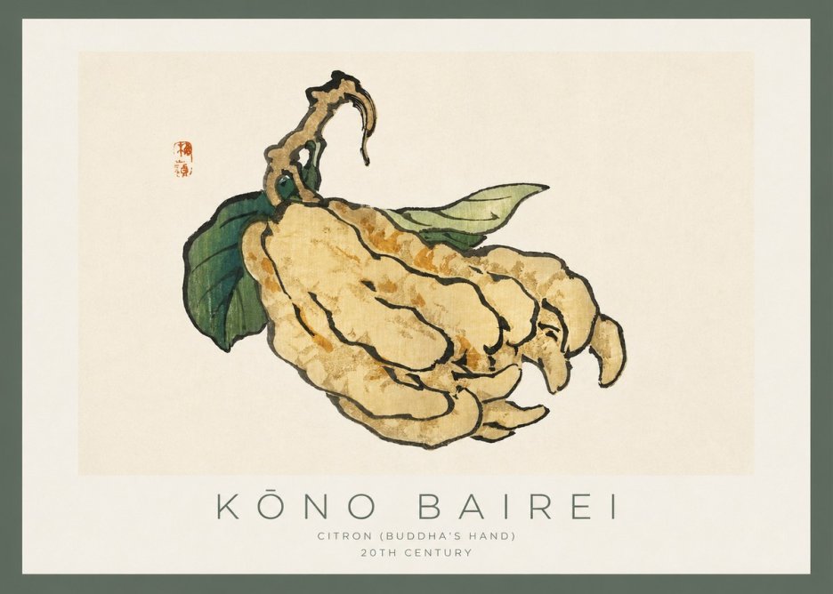 Kōno Bairei Citron (Buddha's Hand) No2 - Plakát