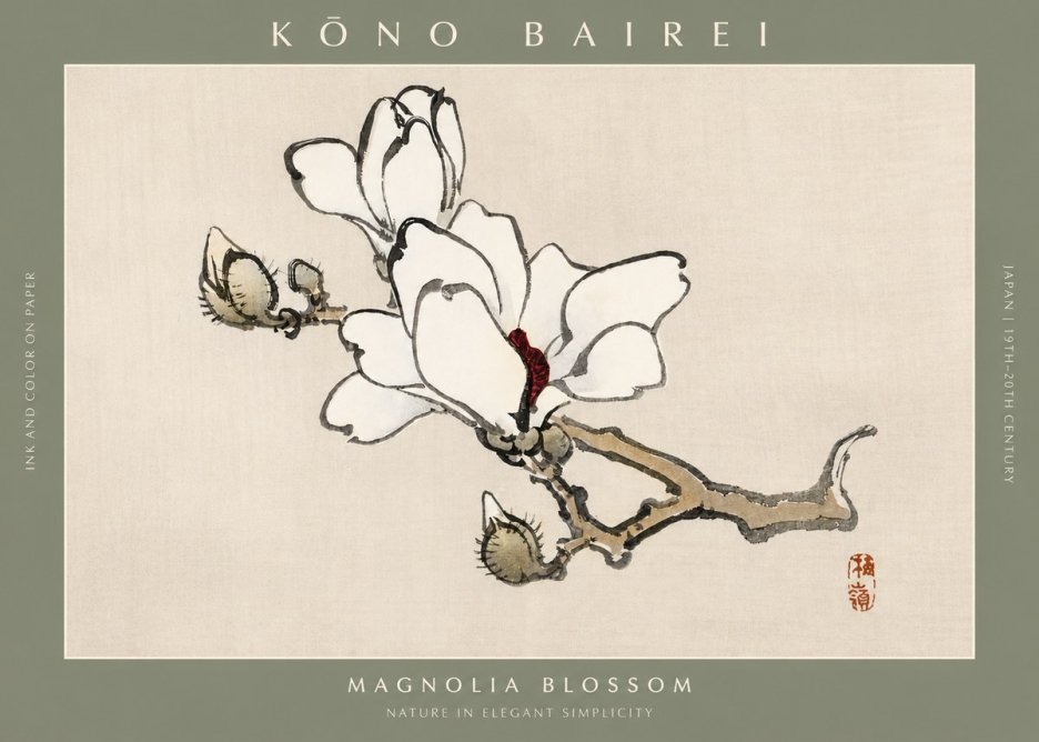 Kōno Bairei Magnolia Blossom No2 - Plakát