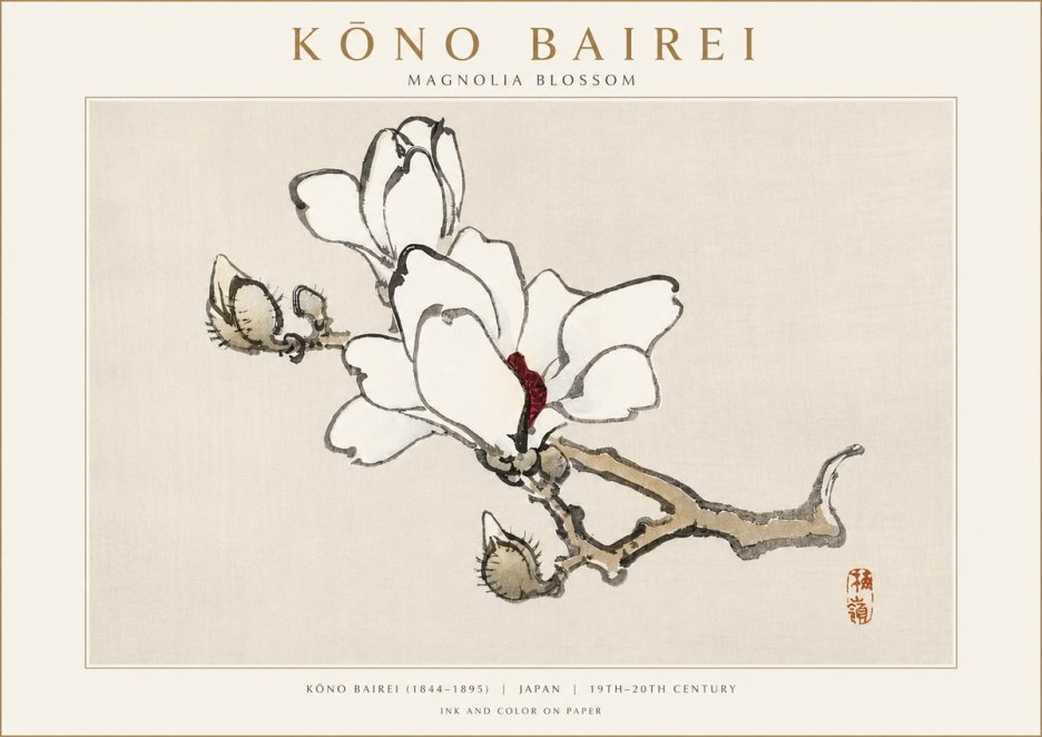 Kōno Bairei Magnolia Blossom No3 - Plakát
