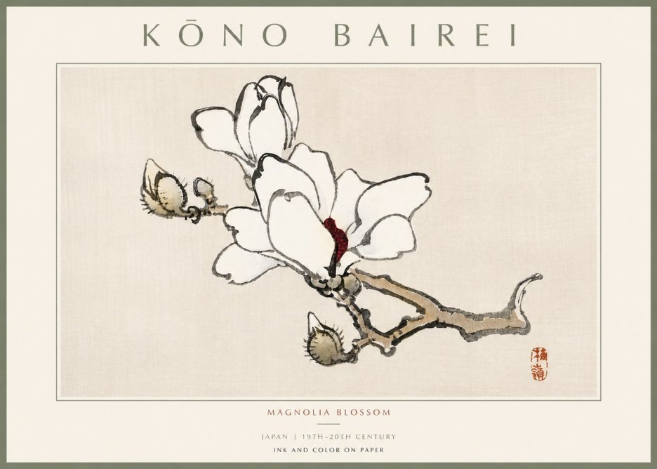 Kōno Bairei Magnolia Blossom No5 - Plakát