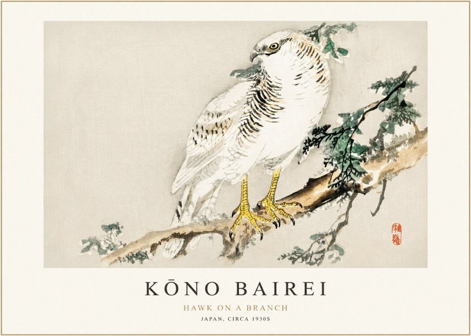 Kōno Bairei Hawk on a Branch No1 - Plakát