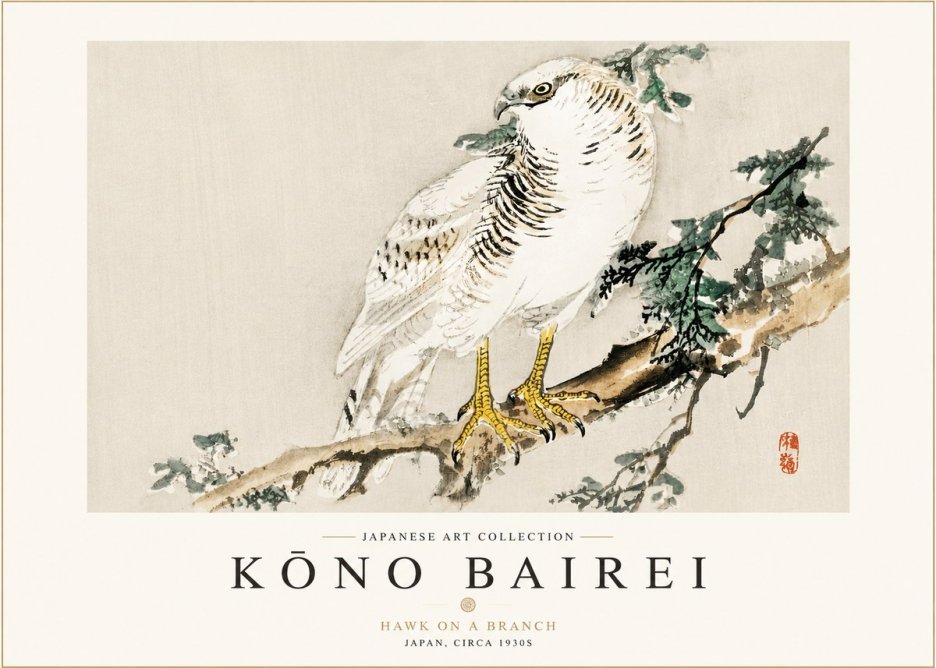 Kōno Bairei Hawk on a Branch No3 - Plakát