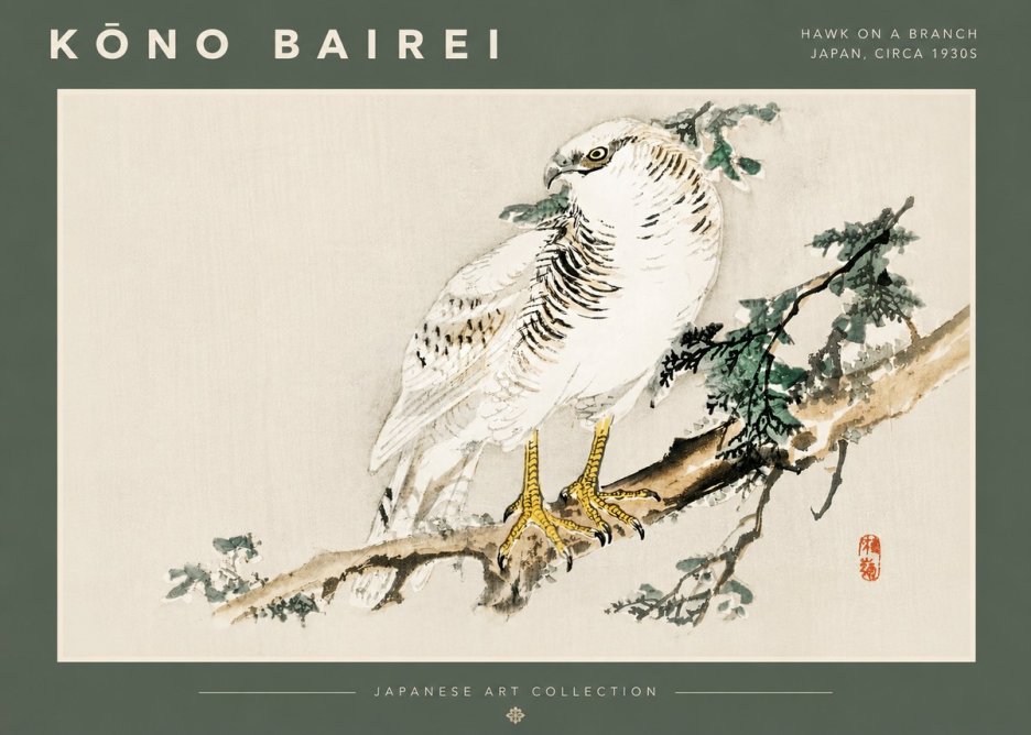 Kōno Bairei Hawk on a Branch No4 - Plakát
