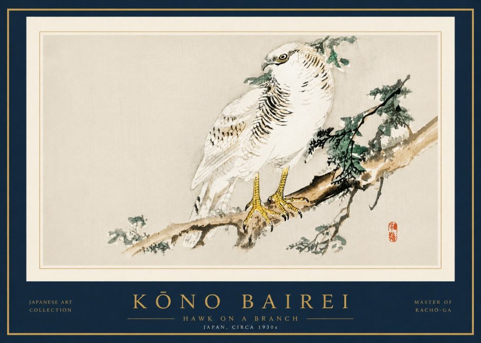 Kōno Bairei Hawk on a Branch No5 - Plakát