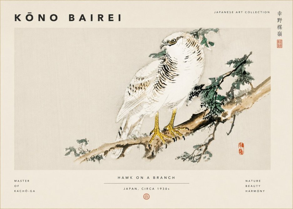 Kōno Bairei Hawk on a Branch No6 - Plakát
