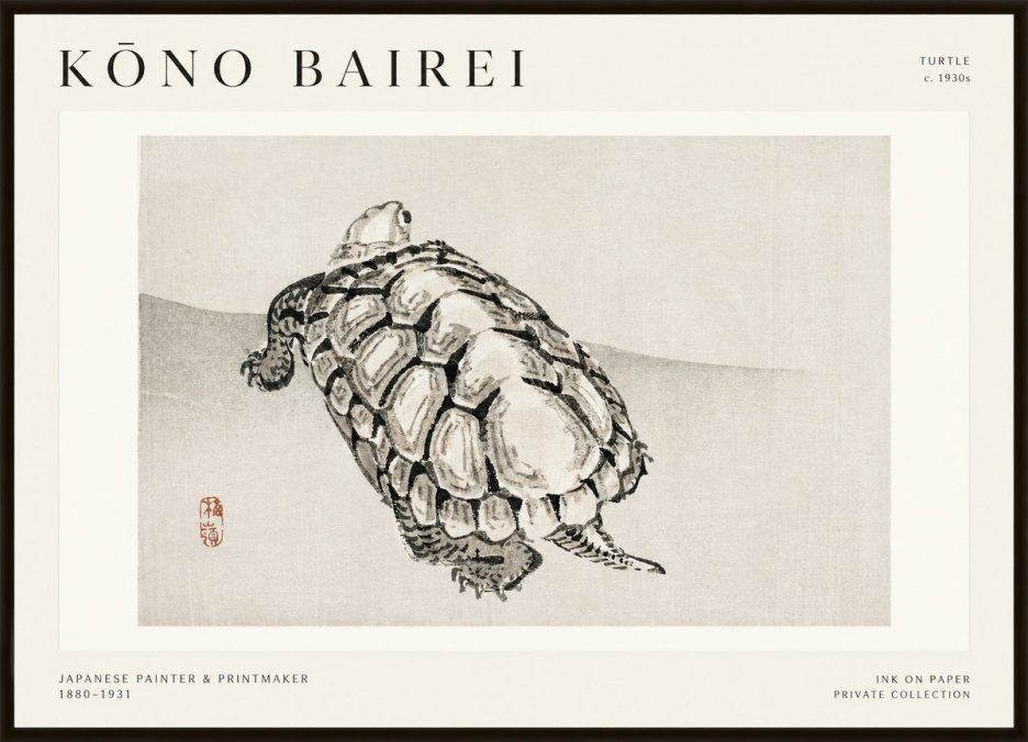 Kōno Bairei Turtle No1 - Plakát