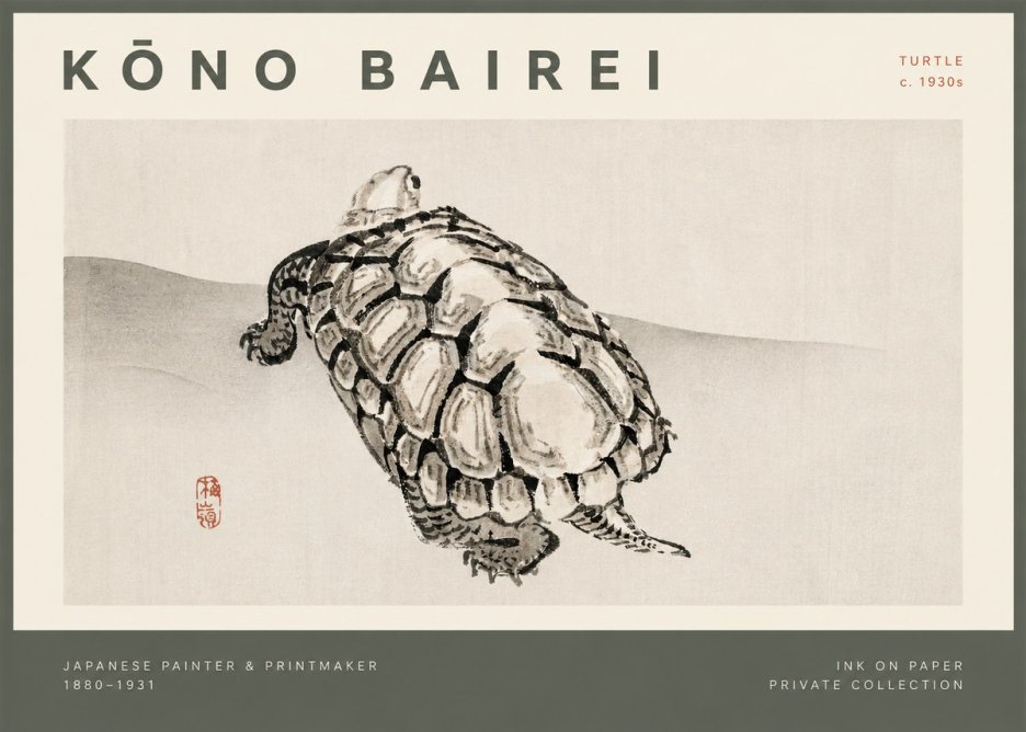 Kōno Bairei Turtle No2 - Plakát