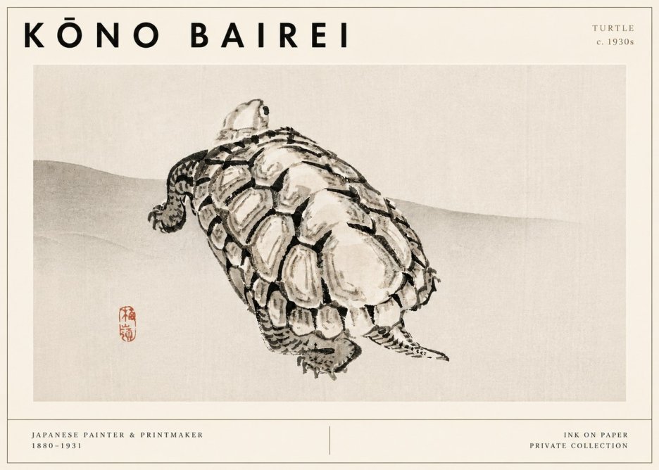 Kōno Bairei Turtle No3 - Plakát