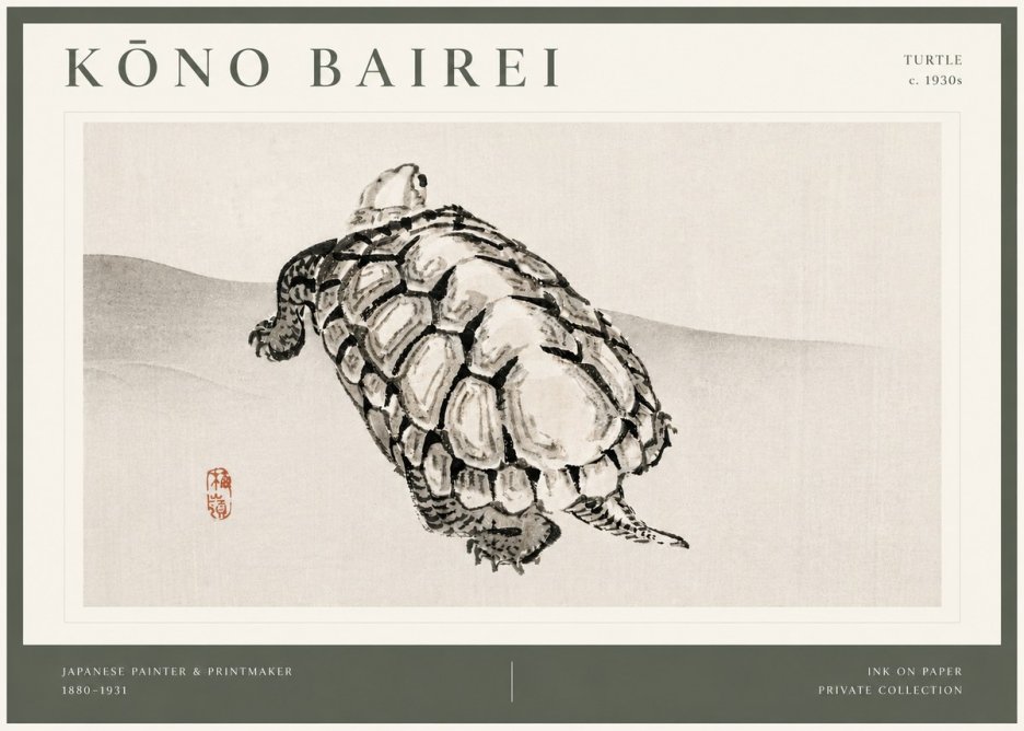 Kōno Bairei Turtle No4 - Plakát