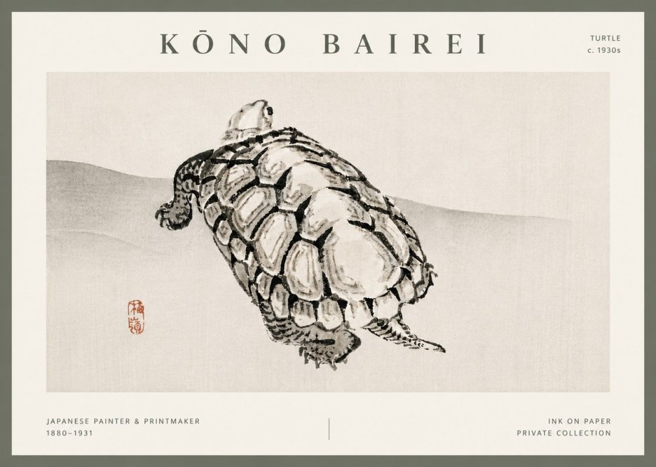 Kōno Bairei Turtle No5 - Plakát