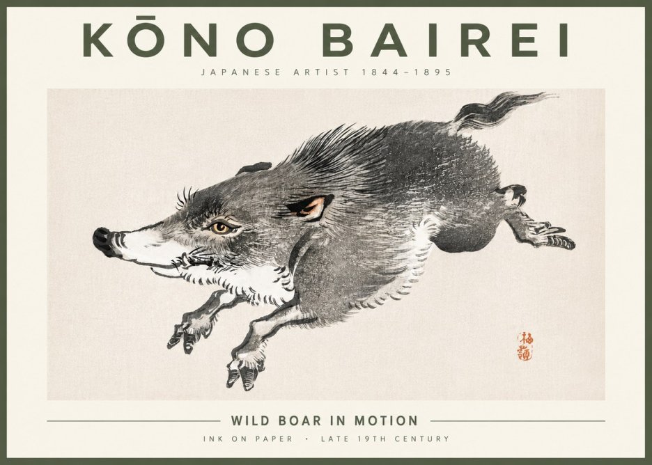 Kōno Bairei Wild Boar in Motion No4 - Plakát