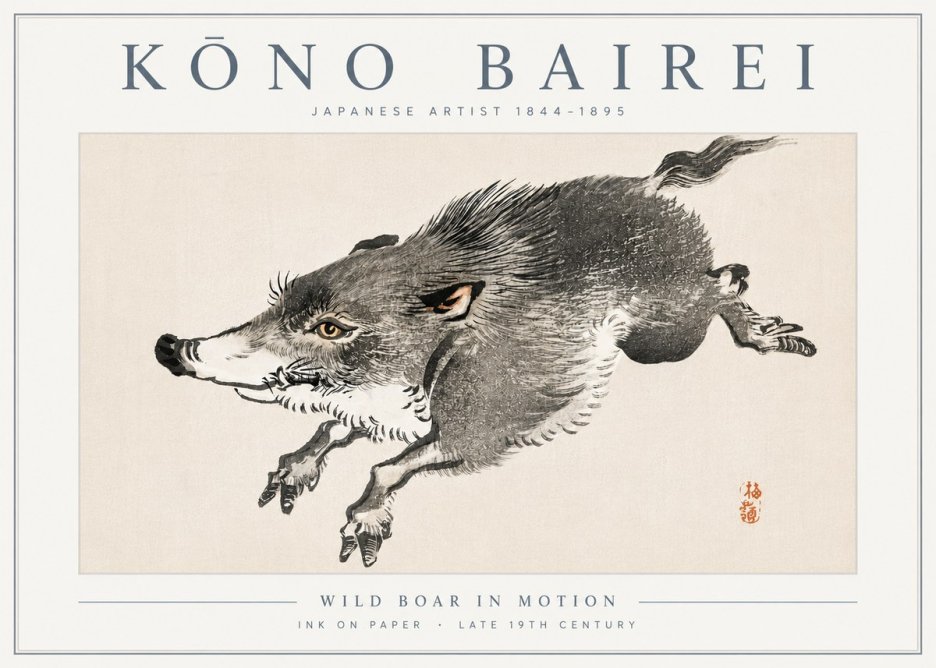 Kōno Bairei Wild Boar in Motion No6 - Plakát