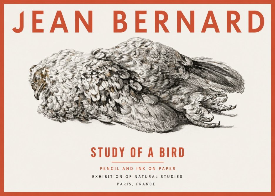 Jean Bernard Study of a Bird I No2 - Plakát