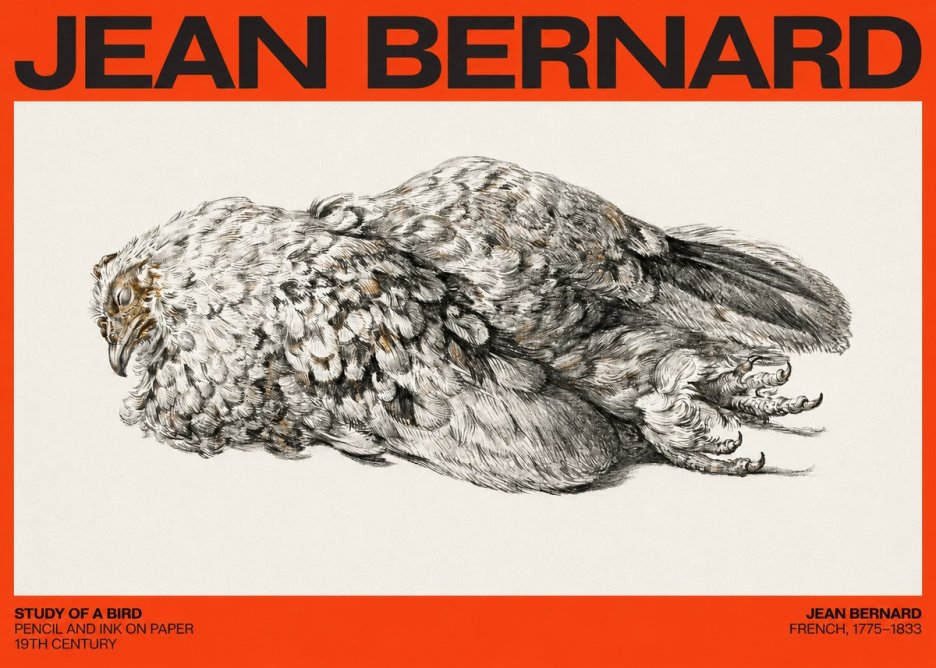 Jean Bernard Study of a Bird I No4 - Plakát