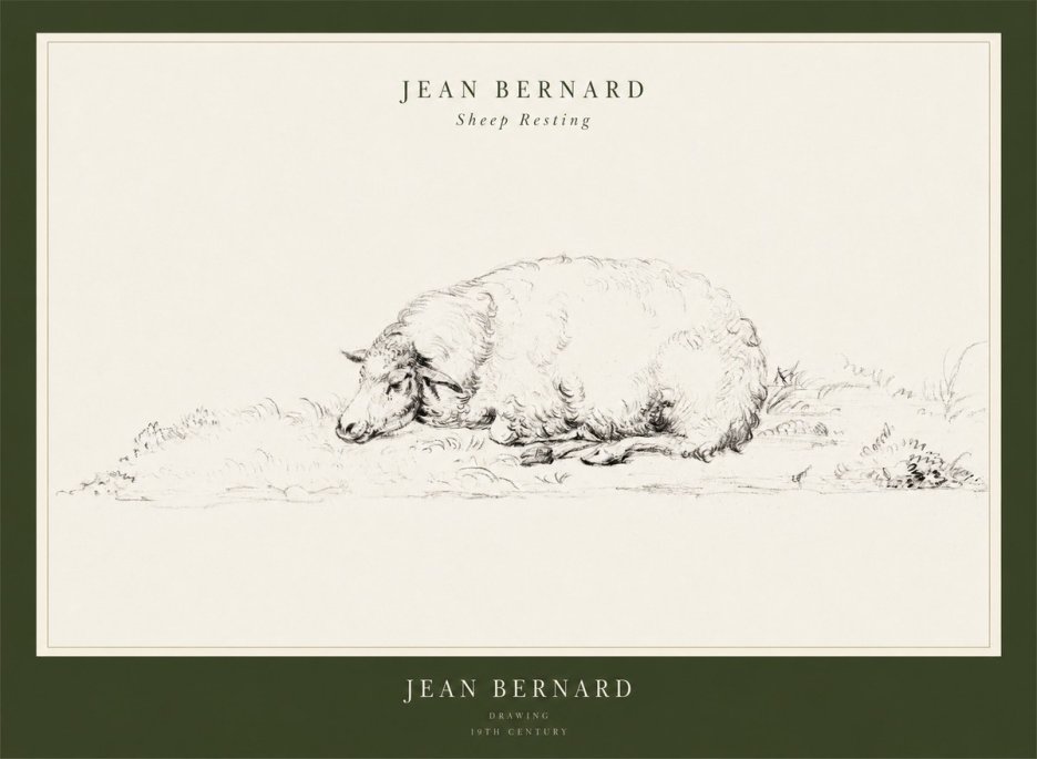Jean Bernard Sheep Resting on the Ground No3 - Plakát