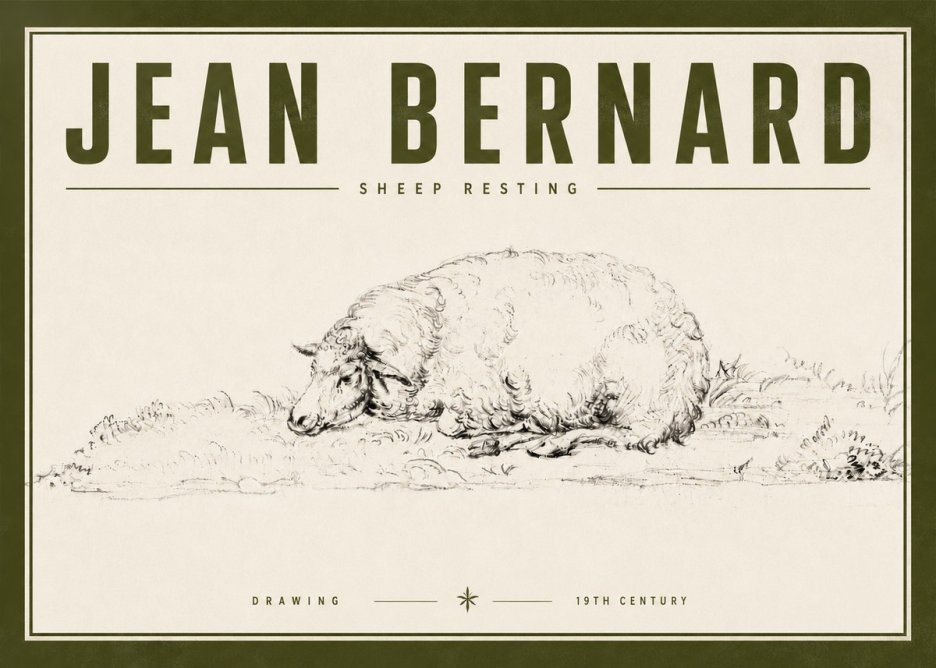 Jean Bernard Sheep Resting on the Ground No6 - Plakát