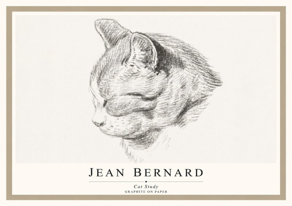 Jean Bernard Cat Study I No1 - Plakát