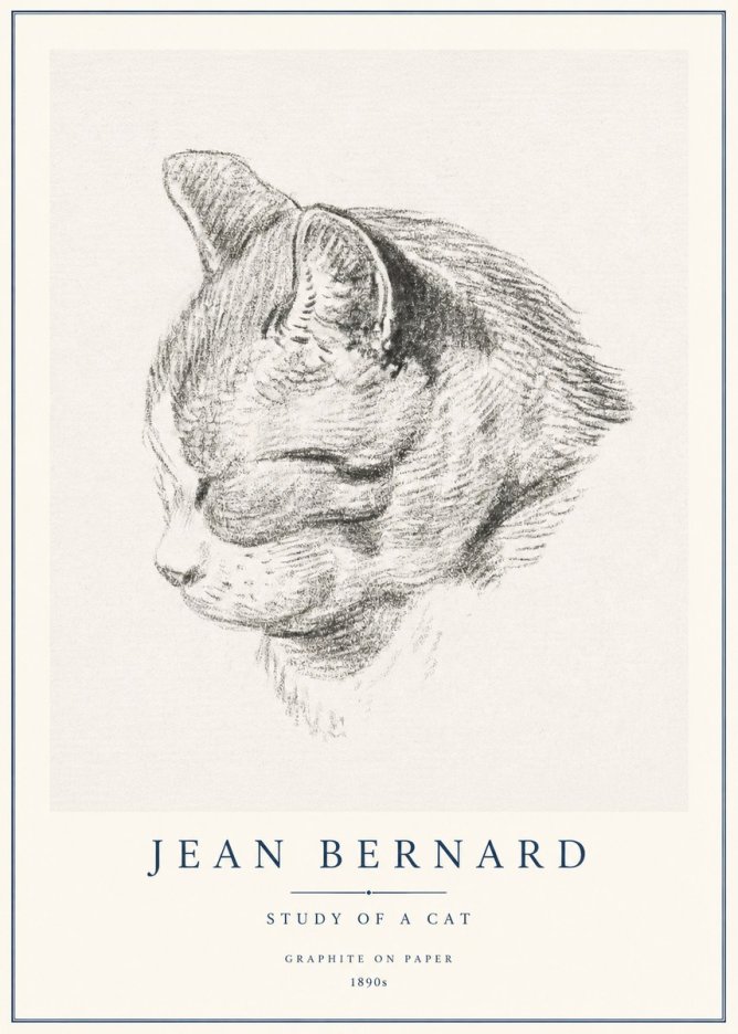 Jean Bernard Cat Study I No3 - Plakát