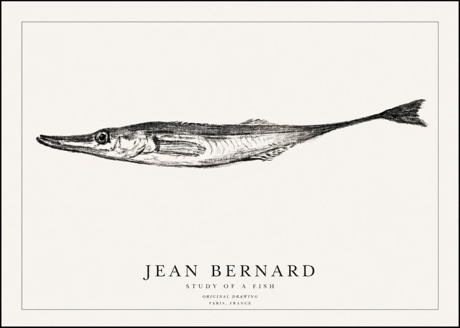 Jean Bernard Study of a Fish I No1 - Plakát