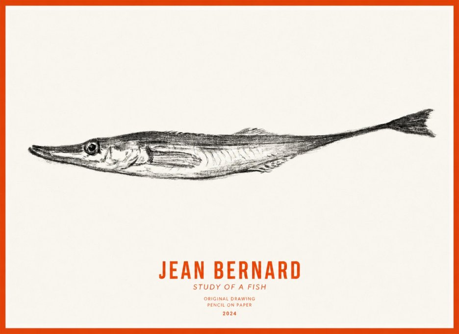 Jean Bernard Study of a Fish I No3 - Plakát