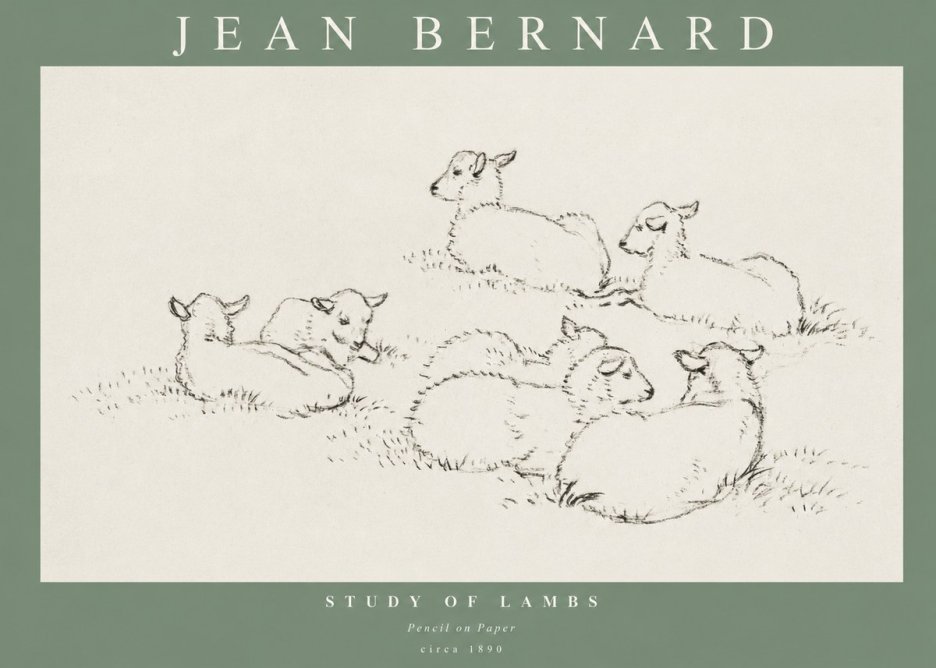 Jean Bernard Study of Lambs No1 - Plakát