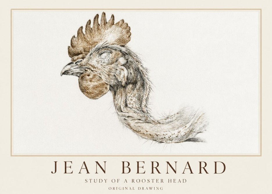Jean Bernard Study of a Rooster Head No1 - Plakát