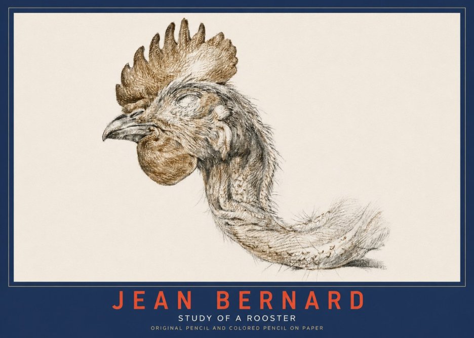 Jean Bernard Study of a Rooster Head No3 - Plakát