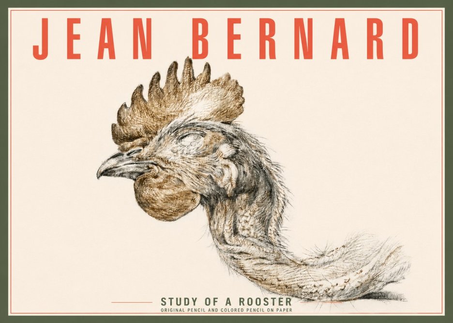 Jean Bernard Study of a Rooster Head No4 - Plakát
