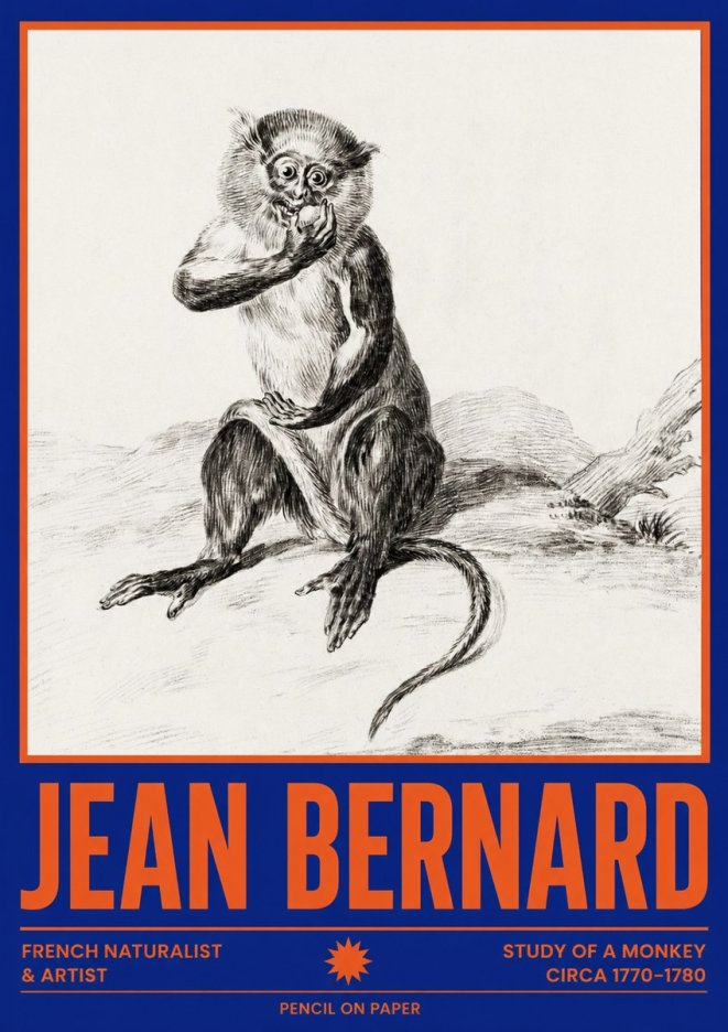 Jean Bernard Study of a Monkey No4 - Plakát
