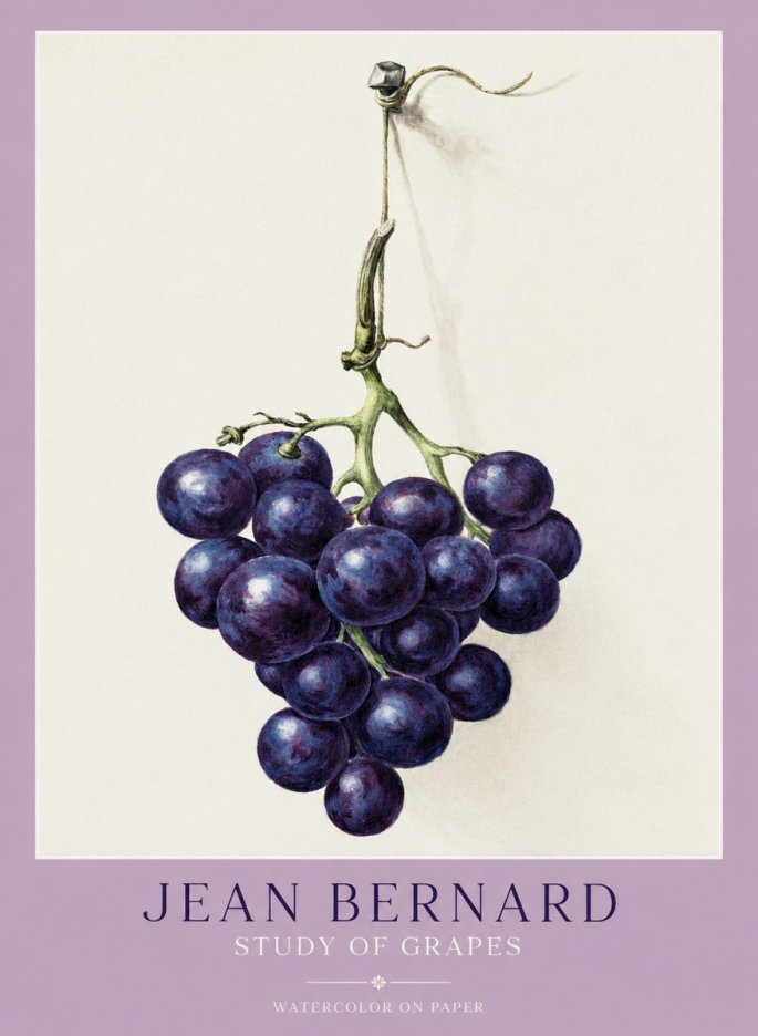 Jean Bernard Grapes No2 - Plakát