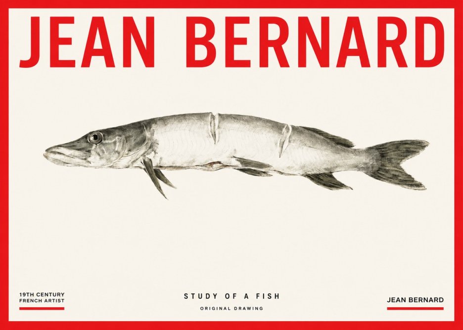 Jean Bernard Study of a Fish II No3 - Plakát