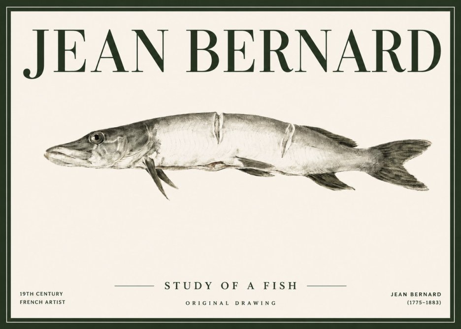 Jean Bernard Study of a Fish II No4 - Plakát