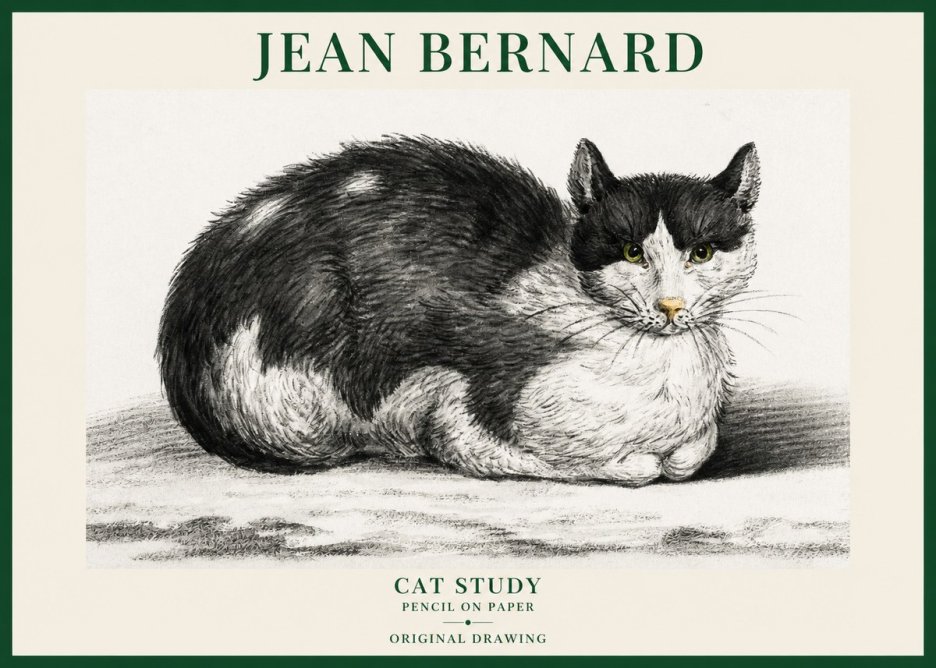 Jean Bernard Cat Study II No6 - Plakát