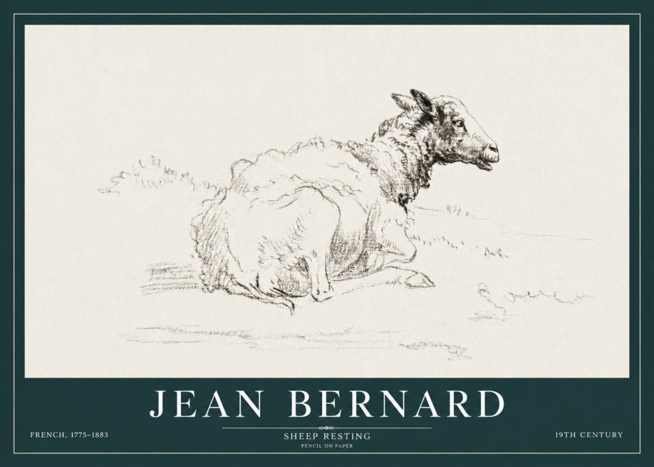 Jean Bernard Sheep Resting No3 - Plakát
