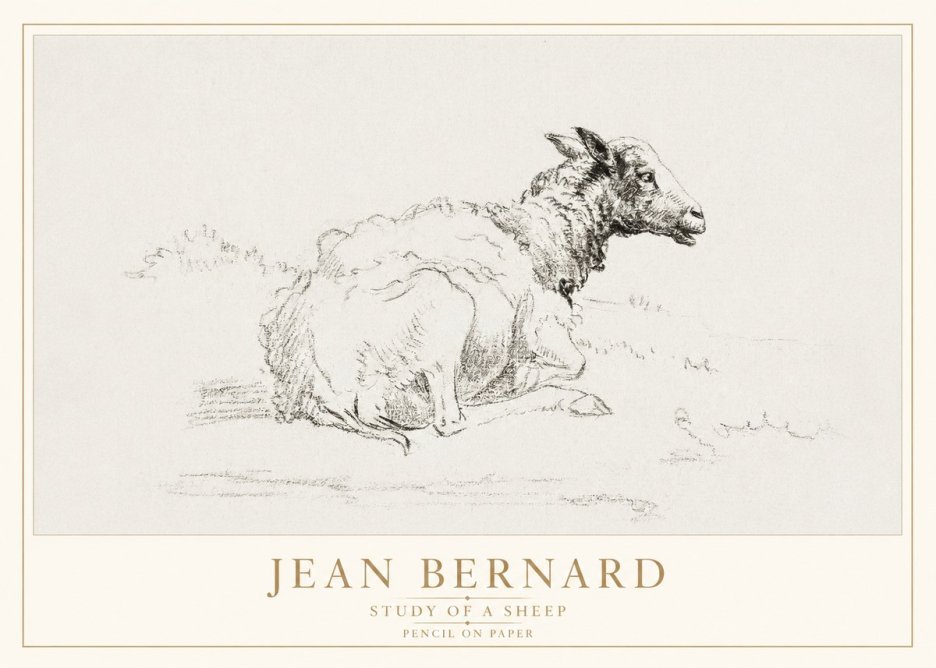 Jean Bernard Sheep Resting No4 - Plakát