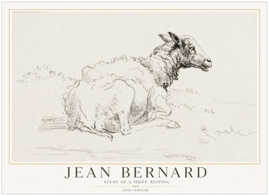 Jean Bernard Sheep Resting No5 - Plakát