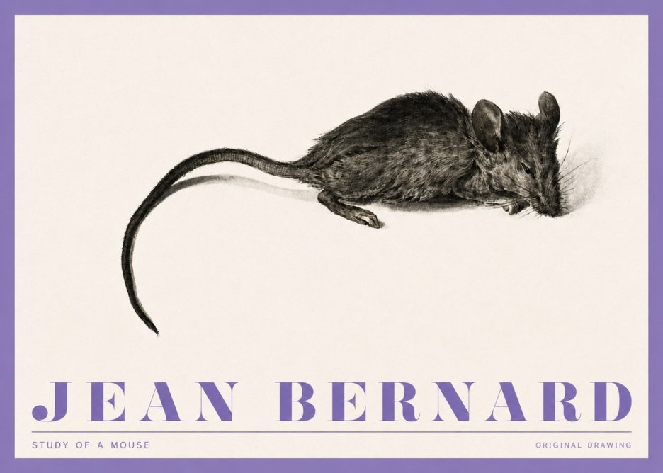 Jean Bernard Study of a Mouse I No4 - Plakát