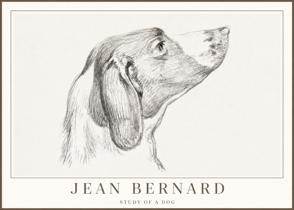 Jean Bernard Study of a Dog I No2 - Plakát