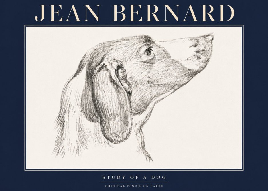 Jean Bernard Study of a Dog I No4 - Plakát