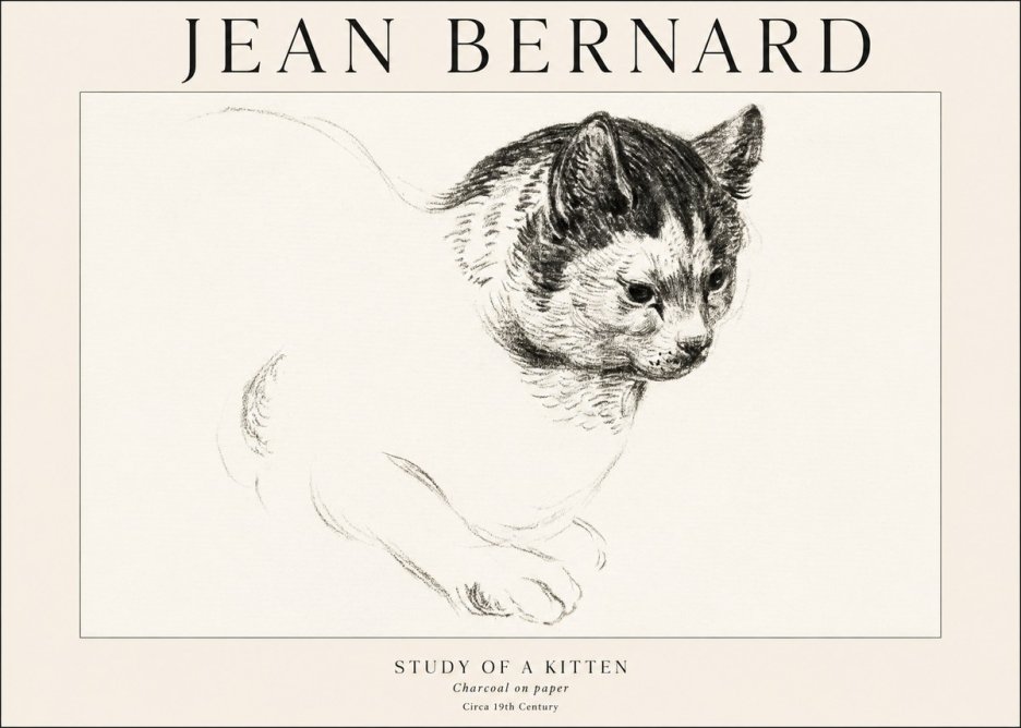 Jean Bernard Study of a Kitten I No1 - Plakát