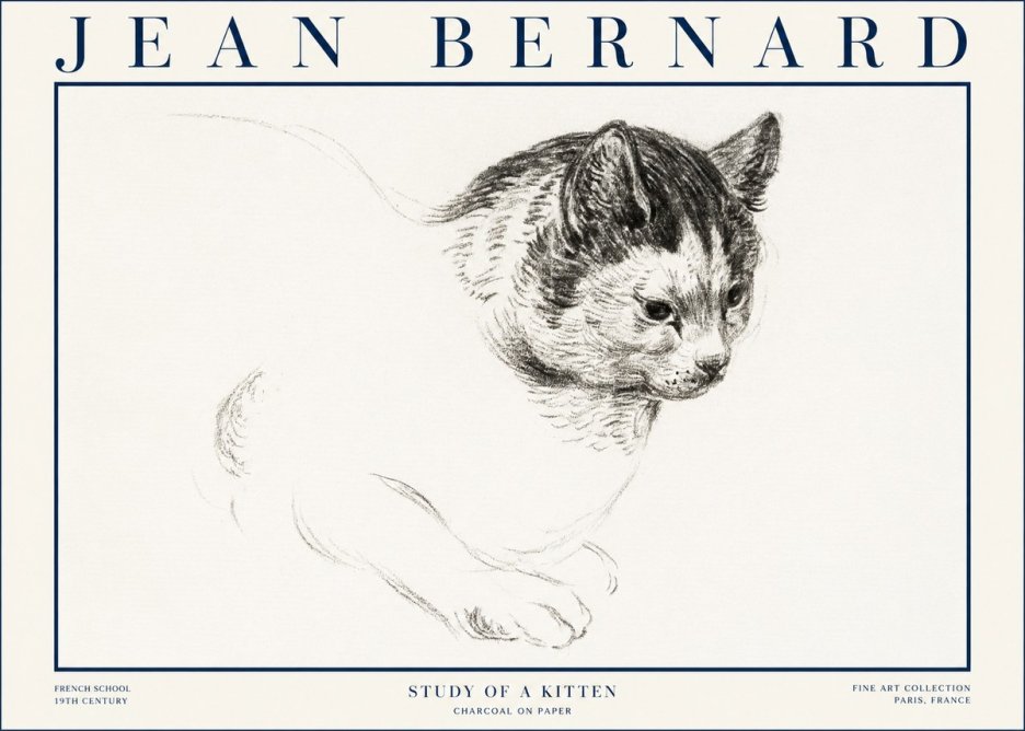 Jean Bernard Study of a Kitten I No4 - Plakát