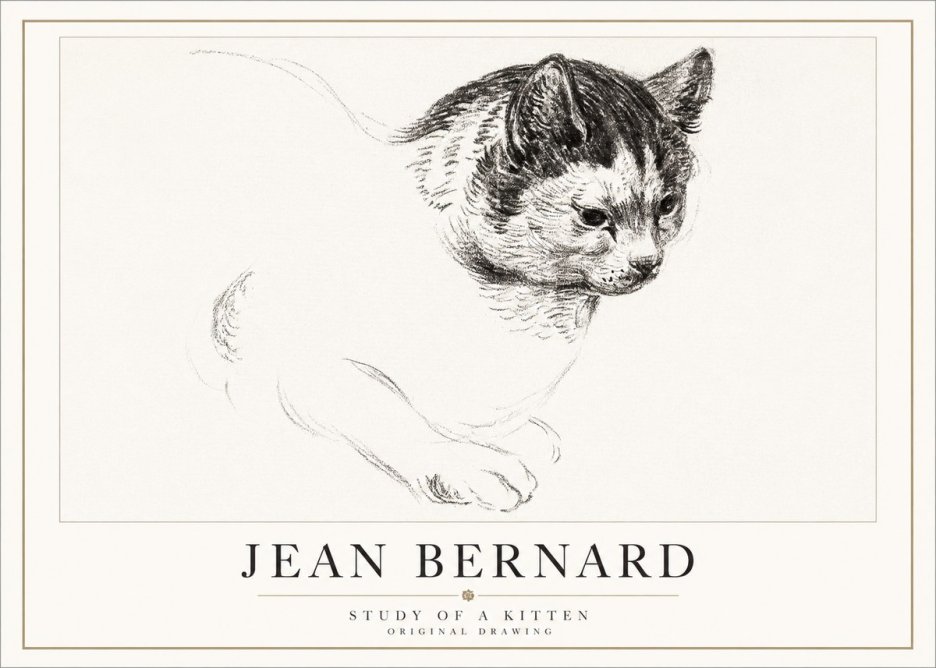 Jean Bernard Study of a Kitten I No5 - Plakát
