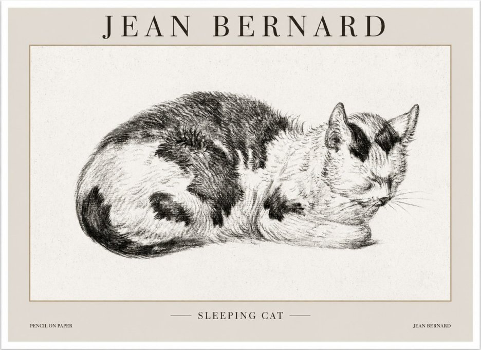 Jean Bernard Sleeping Cat I No1 - Plakát