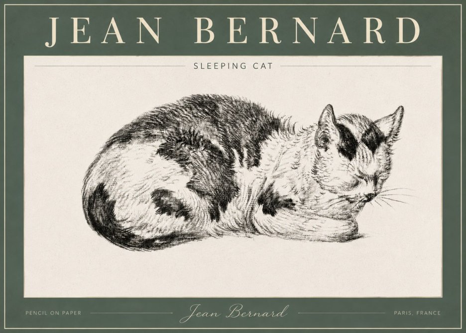 Jean Bernard Sleeping Cat I No4 - Plakát
