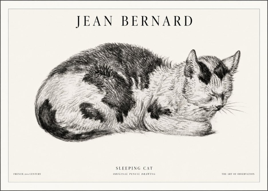 Jean Bernard Sleeping Cat I No5 - Plakát