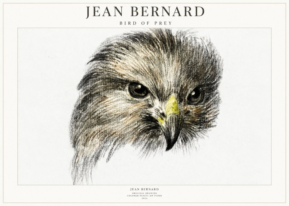 Jean Bernard Bird of Prey No1 - Plakát
