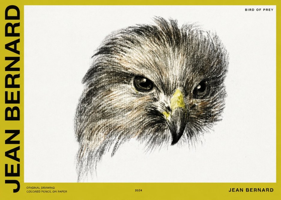 Jean Bernard Bird of Prey No2 - Plakát