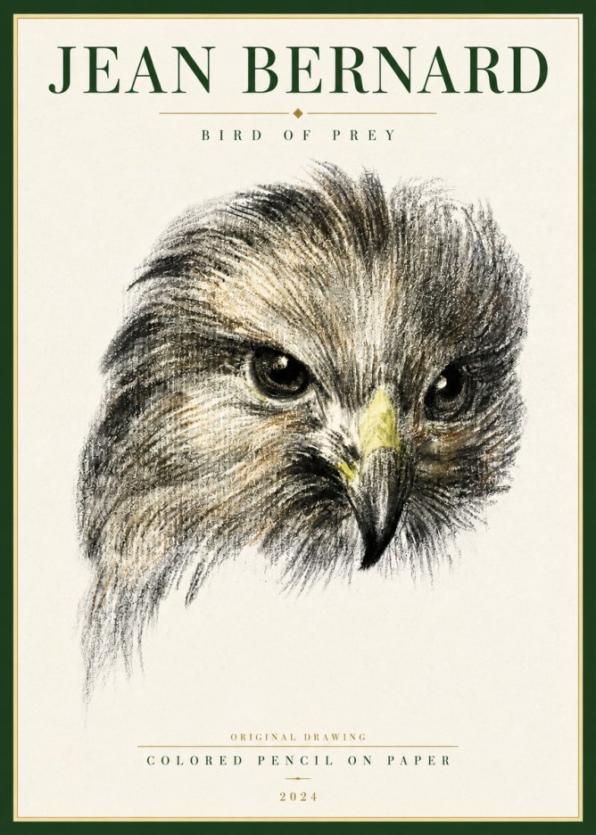 Jean Bernard Bird of Prey No4 - Plakát